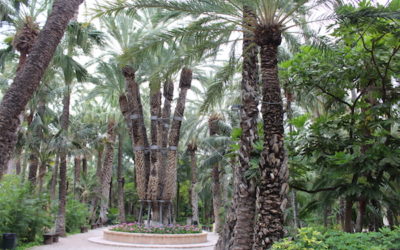 Le Jardin du Curé à Elche, Jardin El Huerto del cura Elche, Espagne