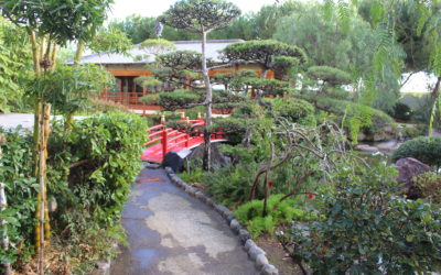Le jardin japonais de Monaco