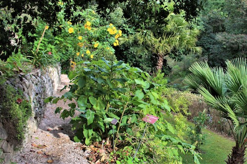 Arbres fruitiers jardin botanique Val Rameh