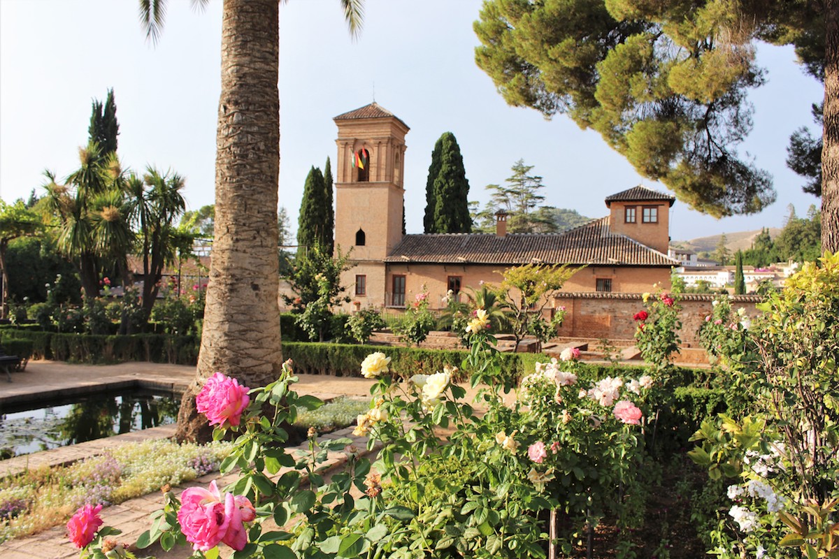 Alhambra bassin et fleur